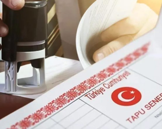 Tapu Silici Nedir, Nereden ve Nasıl Alınır?