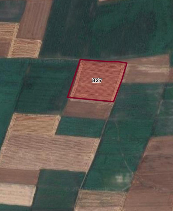 Edirne Merkez Hacıumur Köyünde Hisseli 10.000m2 Satılık Tarla