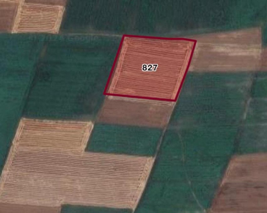Edirne Merkez Hacıumur Köyünde Hisseli 10.000m2 Satılık Tarla